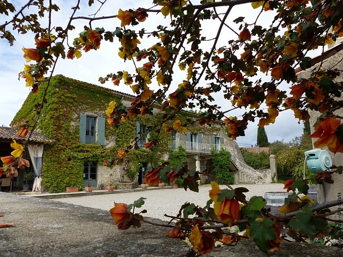 Domaine de Pelican