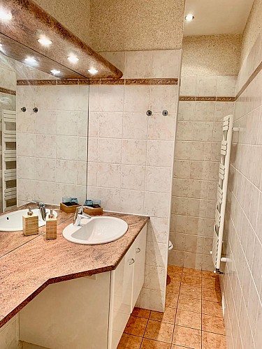 Chambre double supérieure Cardabelle SDB