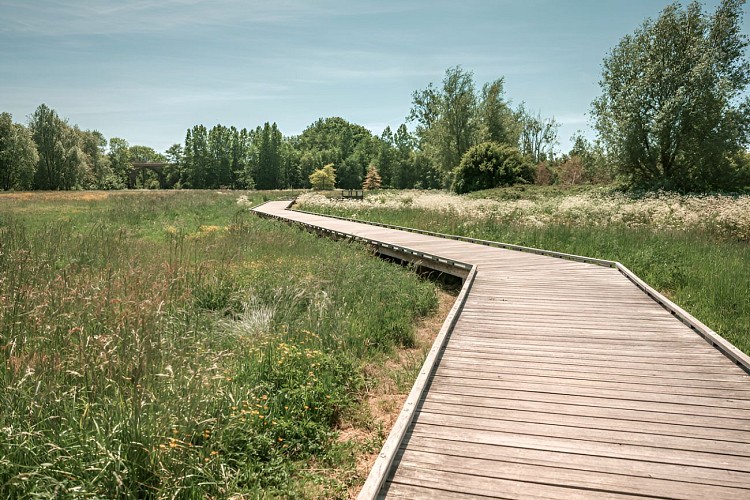 La passerelle aménagée de la vallée de l'Aure. / © Laurent Besnehard