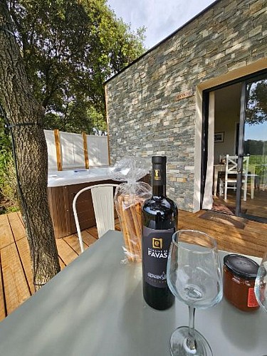 Alombredelacheneraie_apeto_spa_gite_lles_vignes