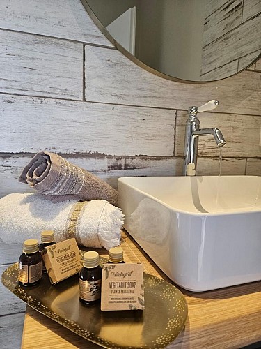 alombredelacheneraie_salle_de_bain_grand_pic_saint_loup_tourisme_gite_les_vignes