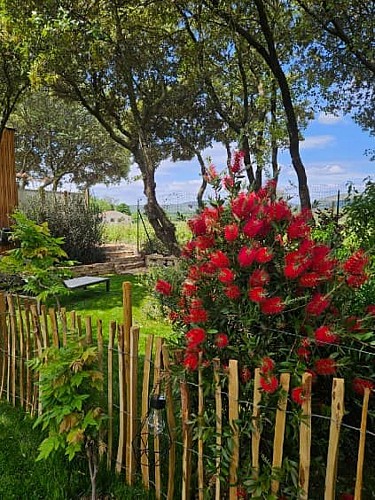 alombredelacheneraie_jardin3_grand_pic_saint_loup_tourisme_gite_les_vignes