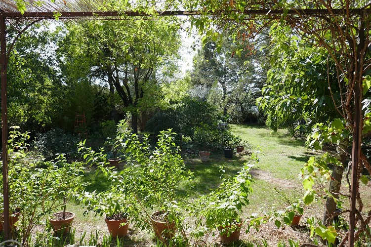 Jardin