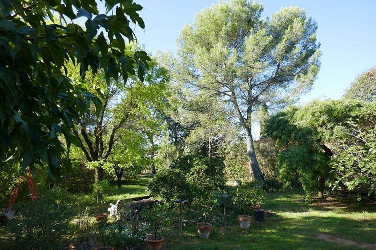 Jardin