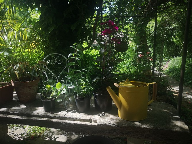 Banc en lauze sous l'ombrage bienfaisant du Bignonia