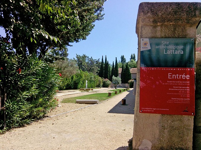 site archéologique lattara musée henri prades lattes