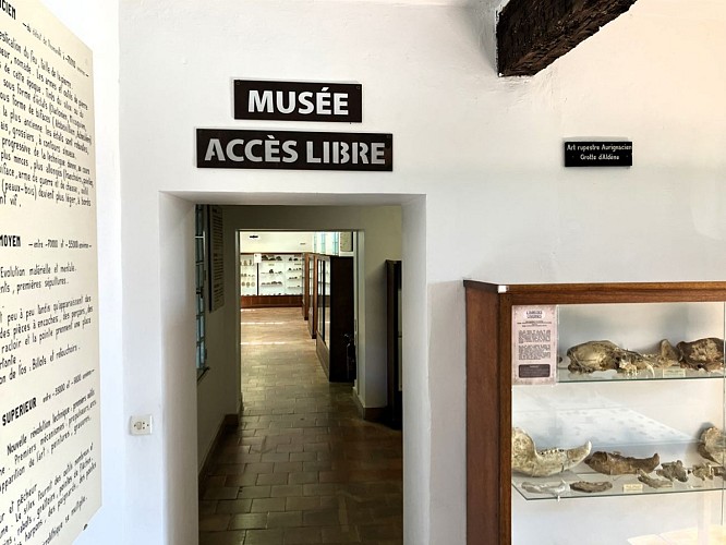 musee minerve_salle1