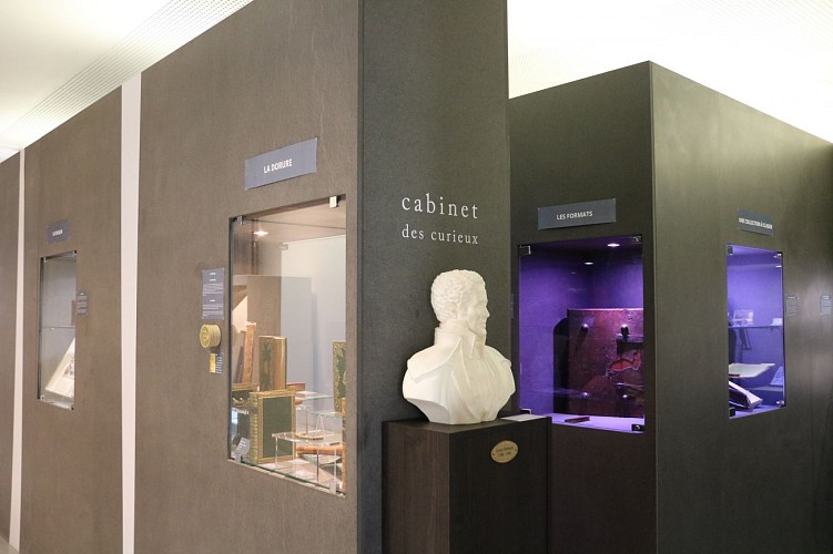 Musée Médard_cabinet des curiosités