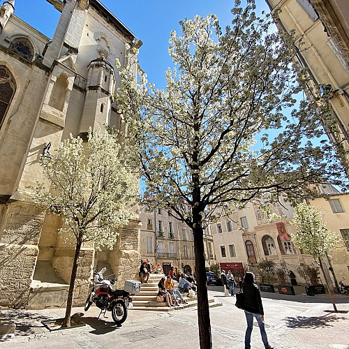 PlaceStRoch©OT3M-M.Remignon