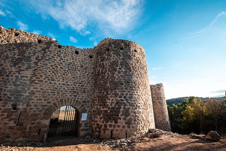 CLERMONT_CHATEAU©2022_laura_maurel_OTC (16)