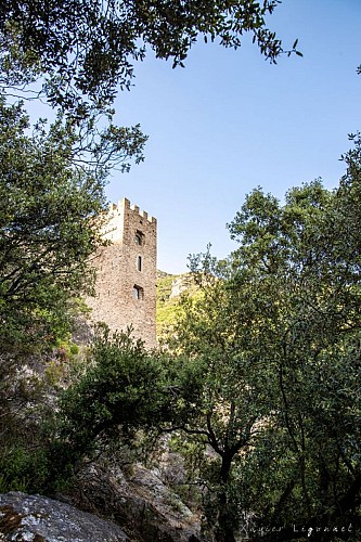 La-tour-carre-Colombieres