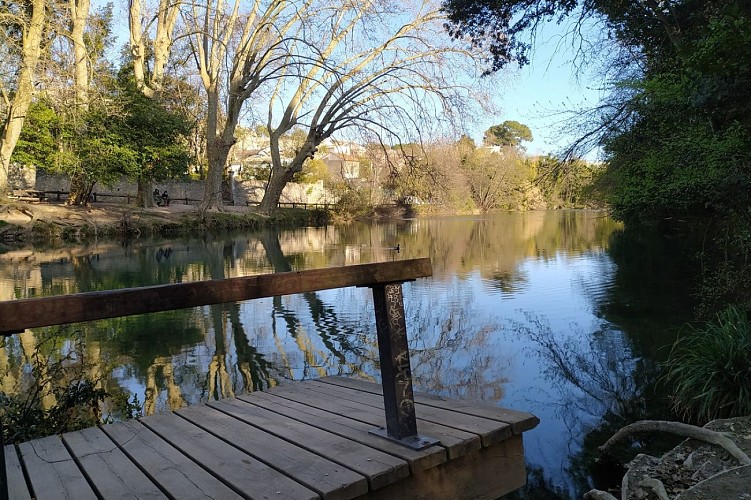 Le Lez au domaine de Méric