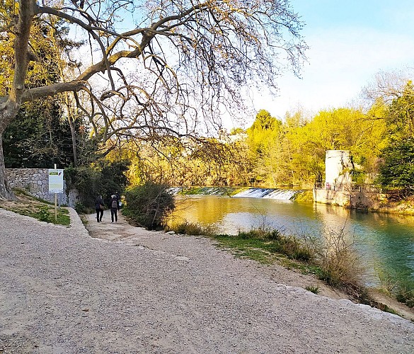 Le Lez au domaine de Méric