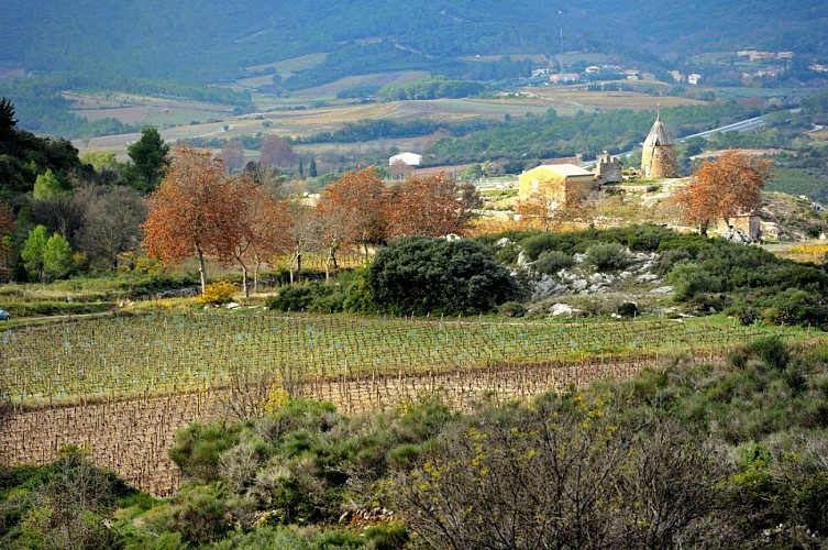 moulin st chinian 2