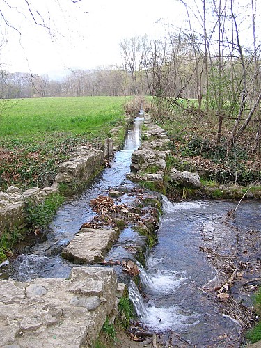 Domaine du Fesquet_2