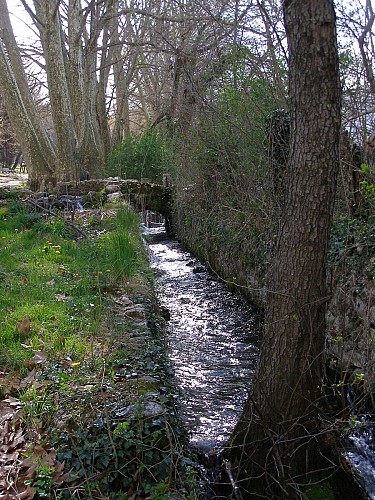 Domaine du Fesquet_3