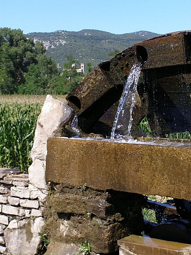 Les Meuses_6