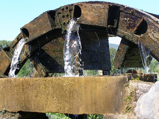 Les Meuses_7