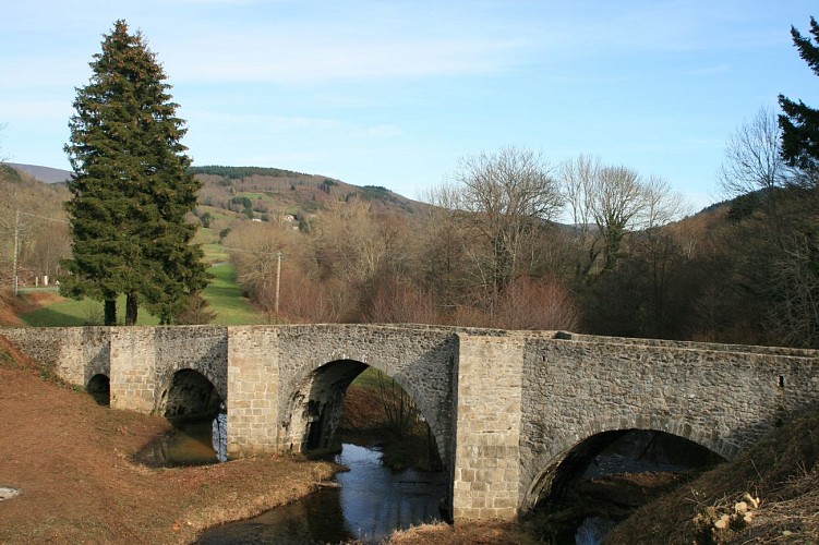 Pont saint etienne_3
