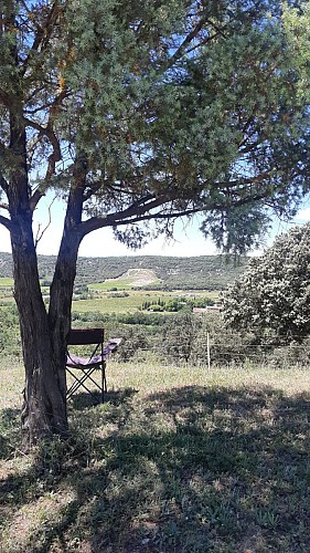 vue sur vallée de Montoulieu_4
