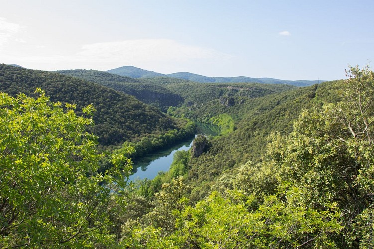 Gorges de l'Hérault