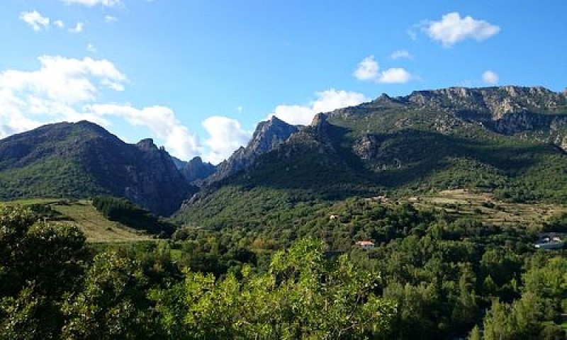 Parc naturel régional du Haut-Languedoc