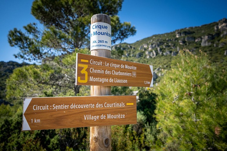 MOUREZE©2022_bartoli_OTC (3)