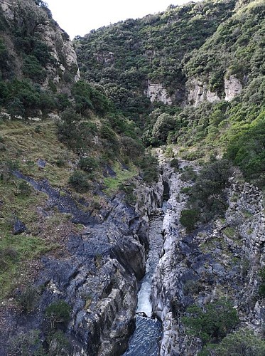Gorges du Brian sur le sentier pédestres de Minerve (PR)