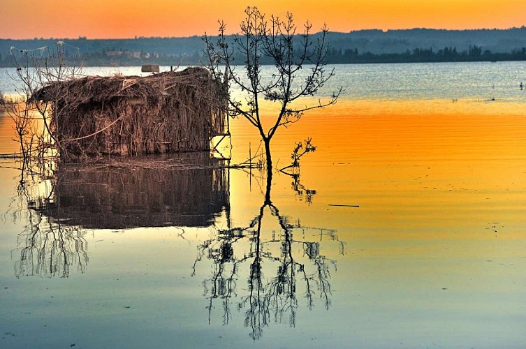 Reflet dans l'étang de Capestang