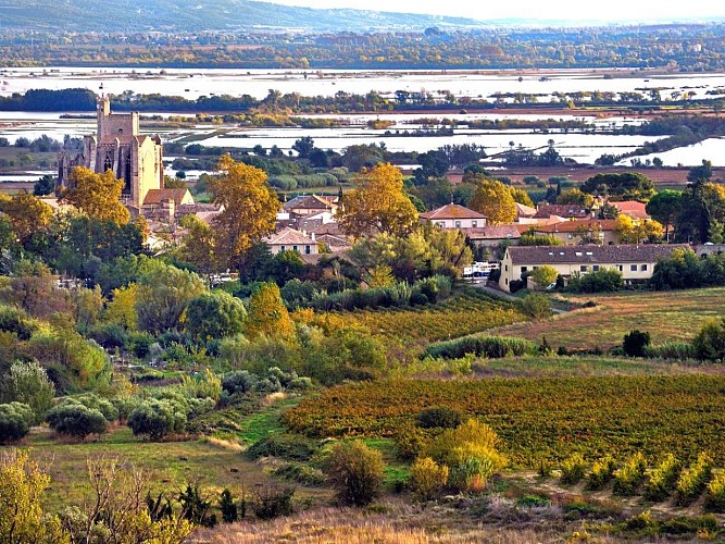 Vue de l'étang de Capestang