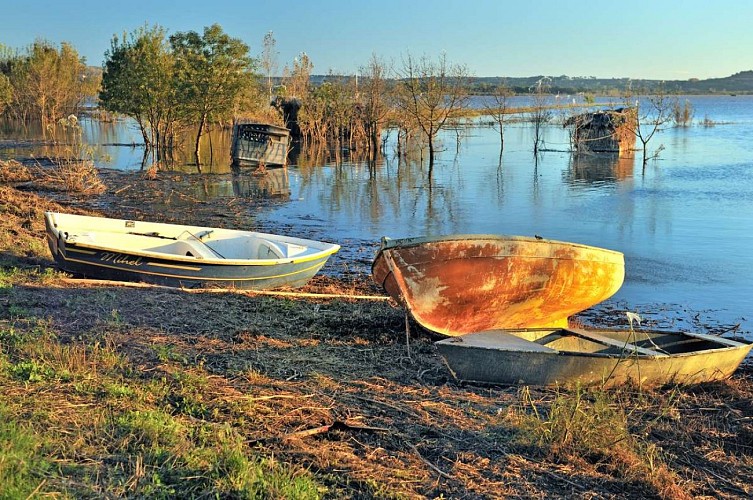 Barques sur l'étang de Capestang
