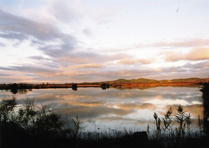 etang-de-la-Matte-hiver