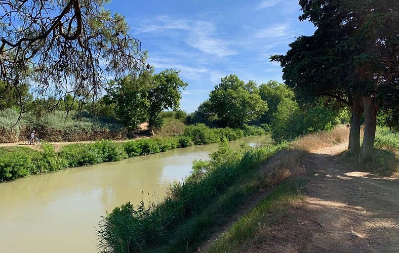 Le Canal du Midi