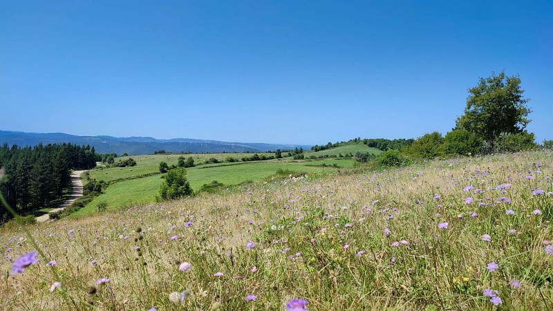 Les_Monts_de_l_Escandorgues_vue_nord_-_E_Brendle