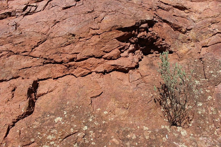 Granit du Mendic Serieys © S. Durandkeller - Herault Tourisme 4