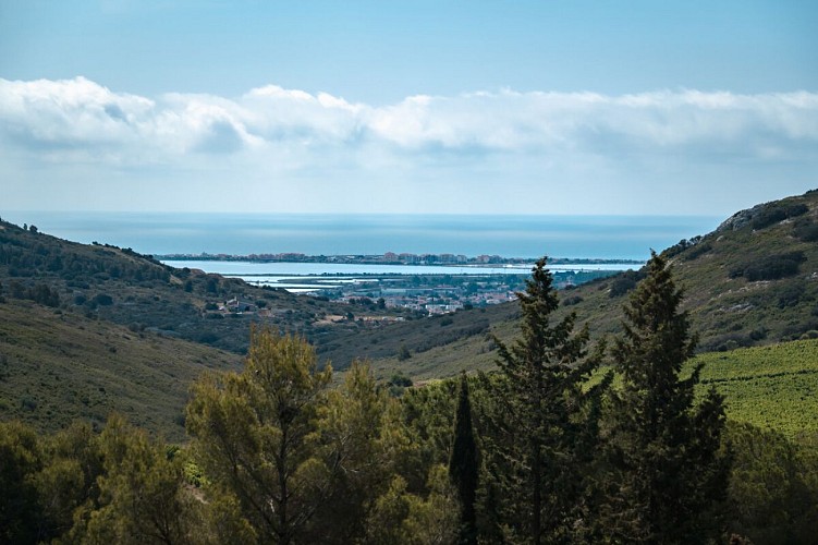 Massif de la Gardiole