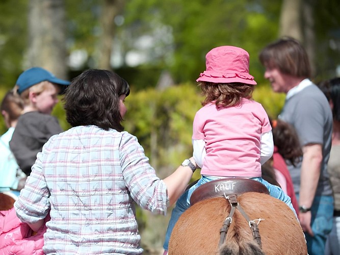 Tours de poneys - LA MANGEOIRE
