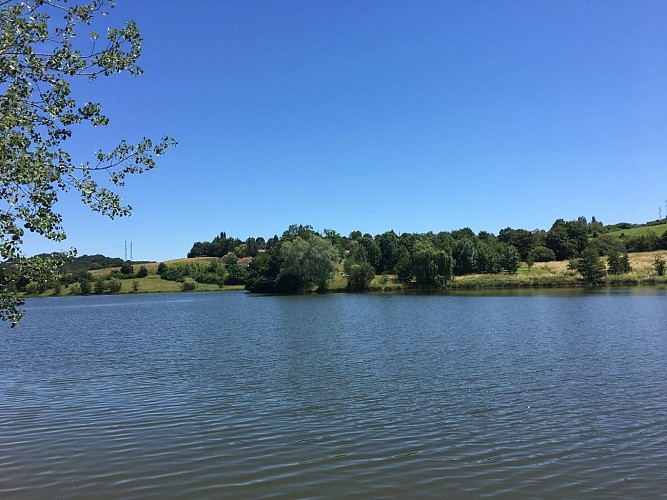 Lac de l'y orthez peche vue moncade (2)