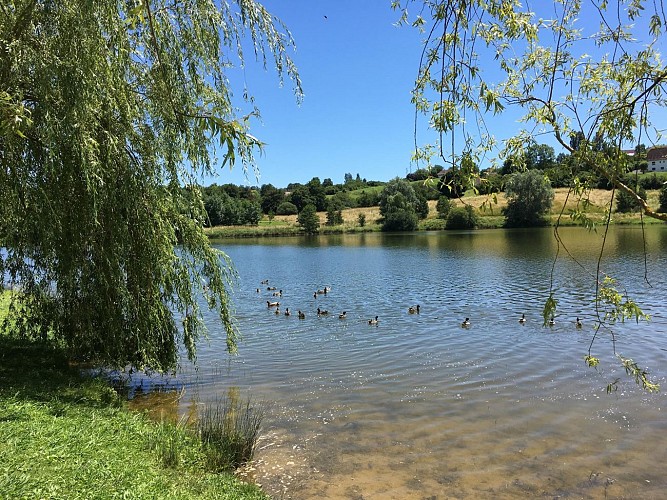Lac de l'y orthez peche vue moncade (7)