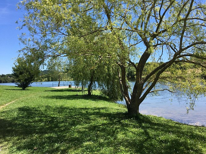 Lac de l'y orthez peche vue moncade (6)
