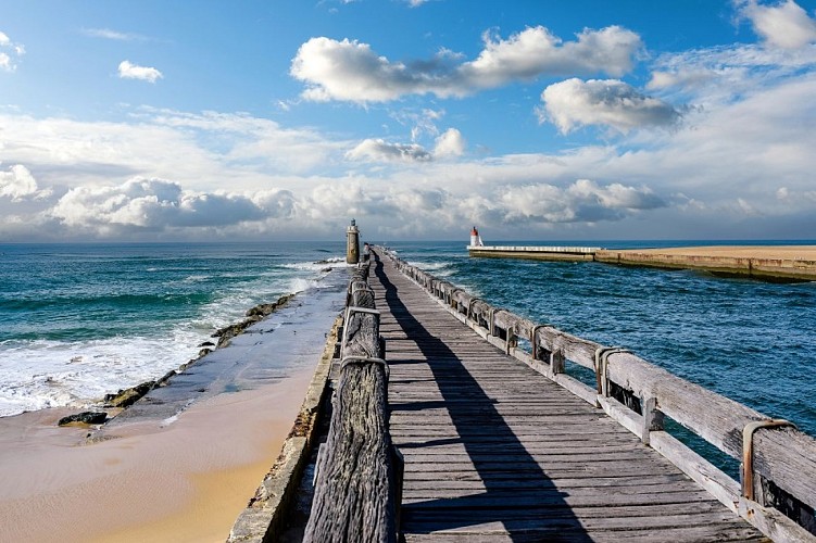 20221017_com_photo_visite_guidee_circuit_cote_landaise_c_adobestock_542350498_900x600