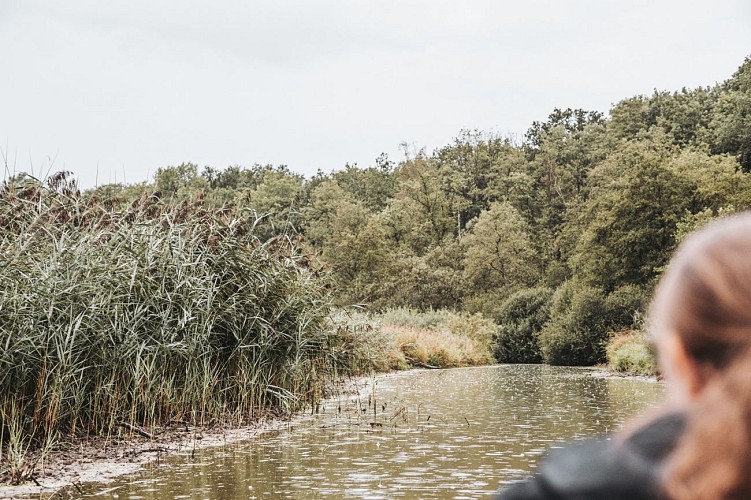 Aube Sauvage à l'Aquascope de Virelles