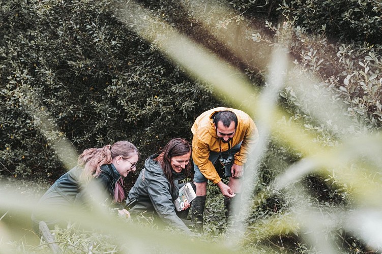 Aube Sauvage à l'Aquascope de Virelles