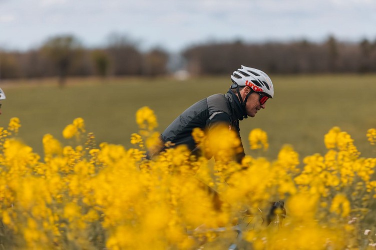 2 jours de GRAVEL en Haute-Provence
