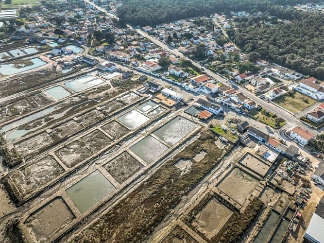 Visite pédagogique - A la découverte de la vase