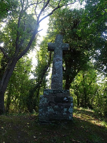 image du object