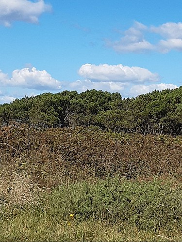 François le Bail nature reserve