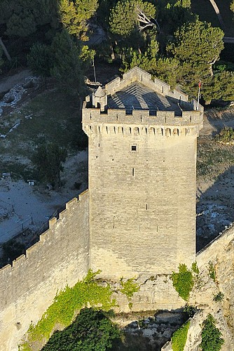 La Forteresse de Beaucaire
