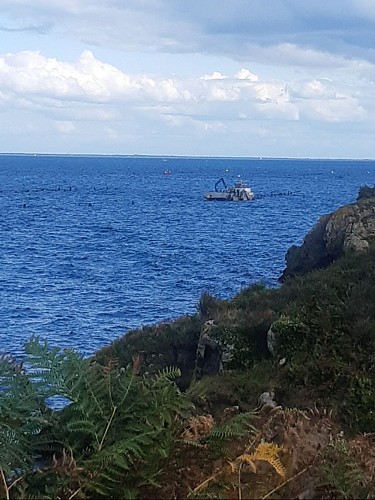 image du object