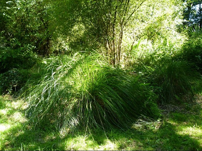 image du object